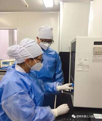深入解析 結核病基因及耐藥檢測技術Xpert MTB/RIF的研發(fā)歷程與應用前景